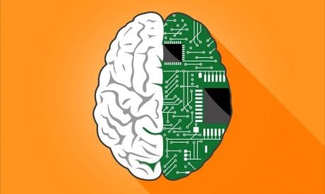 QUIZ: Test de cultura general
