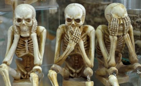 QUIZ: ¿Cuánto sabes de anatomía?