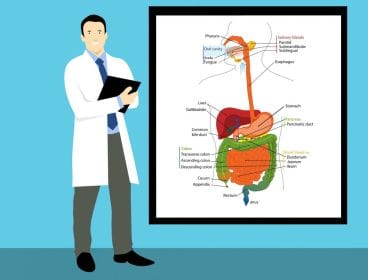 QUIZ: Obtén todos los puntos y destácate como un experto en anatomía