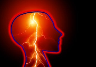 ¿Cuáles son las únicas venas del organismo que llevan sangre oxigenada?