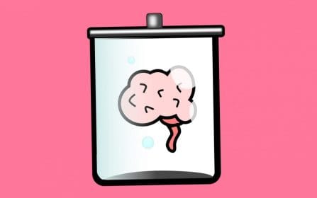 QUIZ: 15 preguntas de biología que  todo adulto debería responder con facilidad