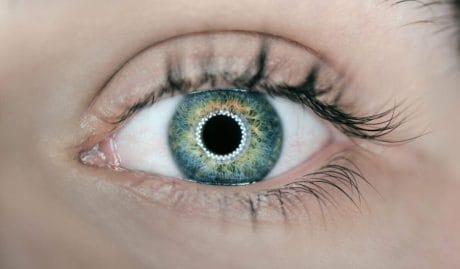 QUIZ: ¿Realmente conoces tu cuerpo?