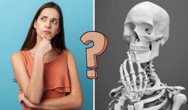 QUIZ: ¿Cuánto sabes del cuerpo humano?