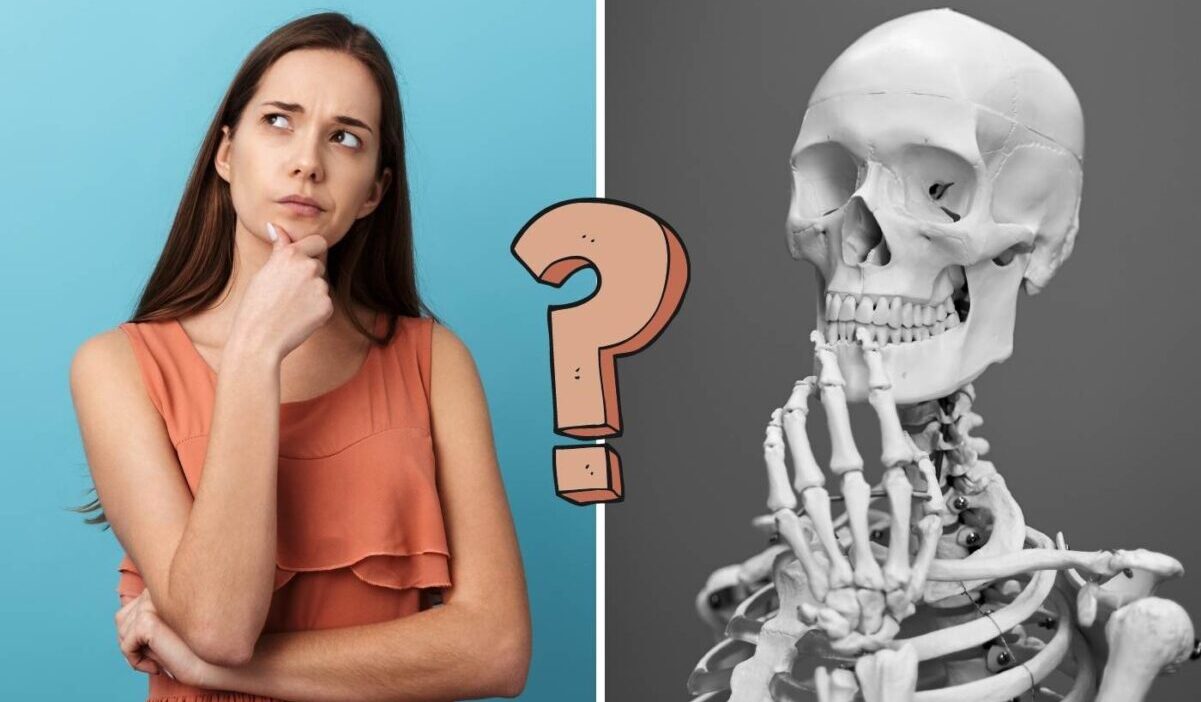 QUIZ: ¿Cuánto sabes del cuerpo humano?