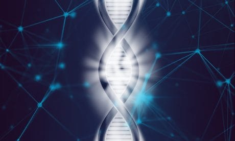El 73% de las personas no pueden responder todas las preguntas en este test de biología