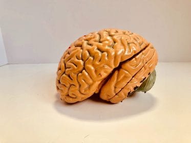 Un desafío de ciencia solo para los más valientes