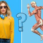QUIZ: ¿Cuál es la característica principal de los tejidos musculares?
