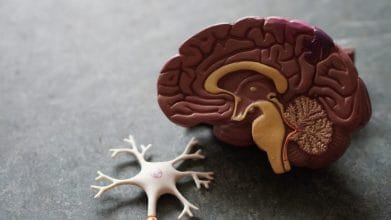 QUIZ: El 65% de las personas no pueden responder todas las preguntas de este test