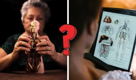 QUIZ: A pesar de ser muy fácil, hay muy pocos que logran resolver esta prueba de anatomía