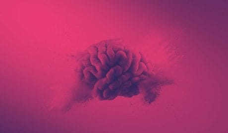 QUIZ: Un test variado para un sabelotodo