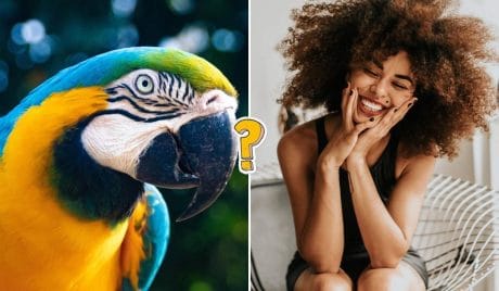 QUIZ: Comprobemos cuánto sabes realmente sobre el mundo