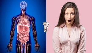 QUIZ: Desafío de la anatomía humana