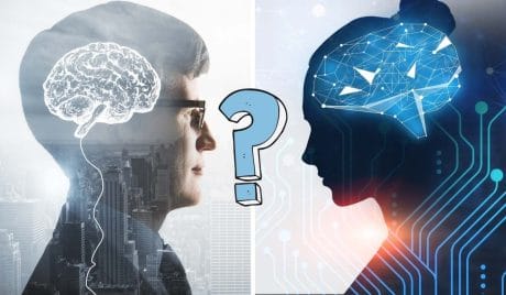 QUIZ: 15 preguntas de cultura general para evaluar las células grises