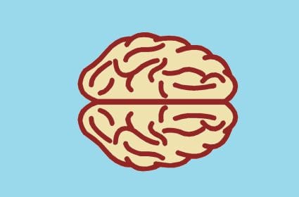 QUIZ: ¿Cuánto conoces del órgano más importante de nuestro cuerpo?