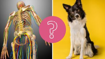 QUIZ: ¿Podrás responder todas estas preguntas sobre el cuerpo humano y el reino animal?