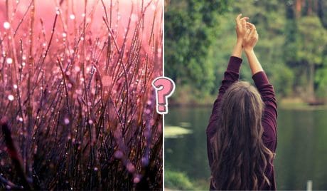 QUIZ: Explora lo muchos que sabes de la naturaleza