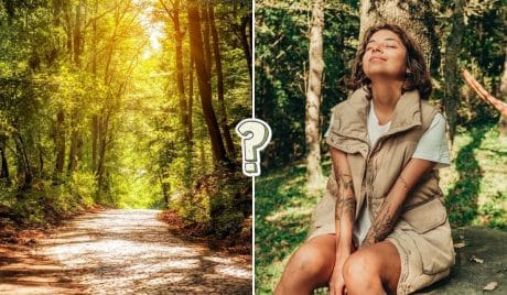 QUIZ: Datos curiosos de la naturaleza