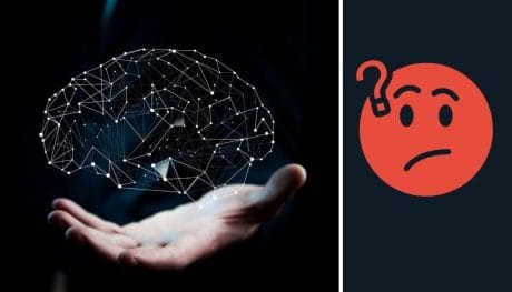 QUIZ: 14 preguntas de ciencia general
