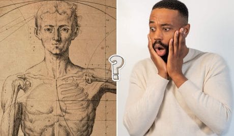 QUIZ: test de anatomía