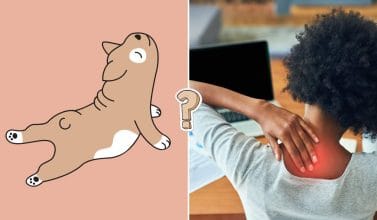 QUIZ. ¿Podrás obtener 15 puntos perfecto en este test de anatomía?