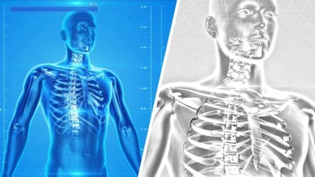 QUIZ: ¿Sabes algo sobre el cuerpo humano?