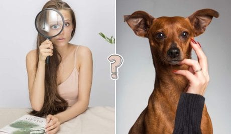 QUIZ: Test de biología