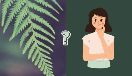 Biología: 15 preguntas