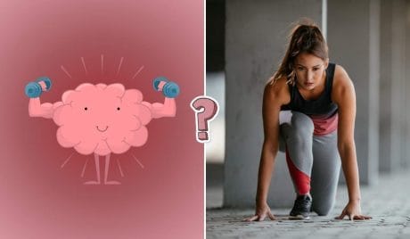 Test de cuerpo humano. ¿Verdadero o falso?