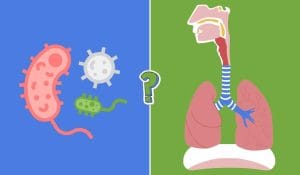Trivia de biología y anatomía