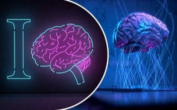 Test de inteligencia - IQ test (test de CI)