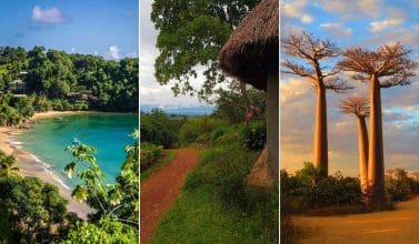 Solo para expertos: ¿Conoces el nombre de sus habitantes?
