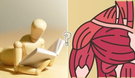 QUIZ: reto de anatomía