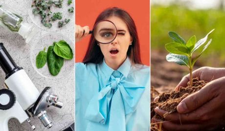 Quiz: 15 preguntas de biología