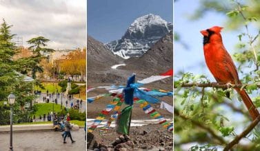 El siguiente quiz es mucho más difícil que cualquier examen en la universidad