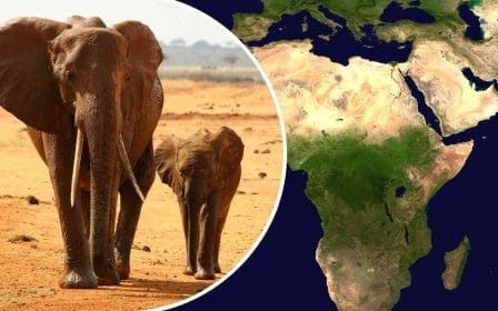 Quiz - datos geográficos de países africanos