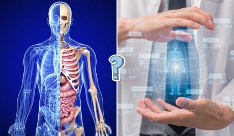 QUIZ: ¿Cuánto conoces tu cuerpo?