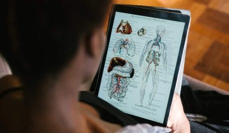 QUIZ: ¿Cuánto sabes sobre el cuerpo humano?
