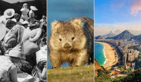 Quiz: Pon a prueba tu cultura general con este desafío