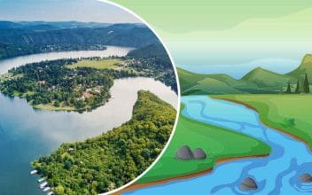 Test de biologia: ¿Serás capaz de responder a estas preguntas sin hacer trampa?