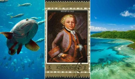 Quiz: Preguntas cultura general
