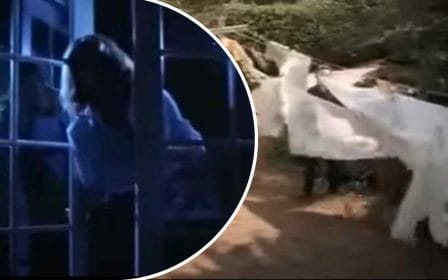 Quiz - La noche de Halloween