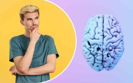Quiz - Sí o no