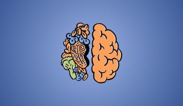 15 preguntas que todo adulto debe responder